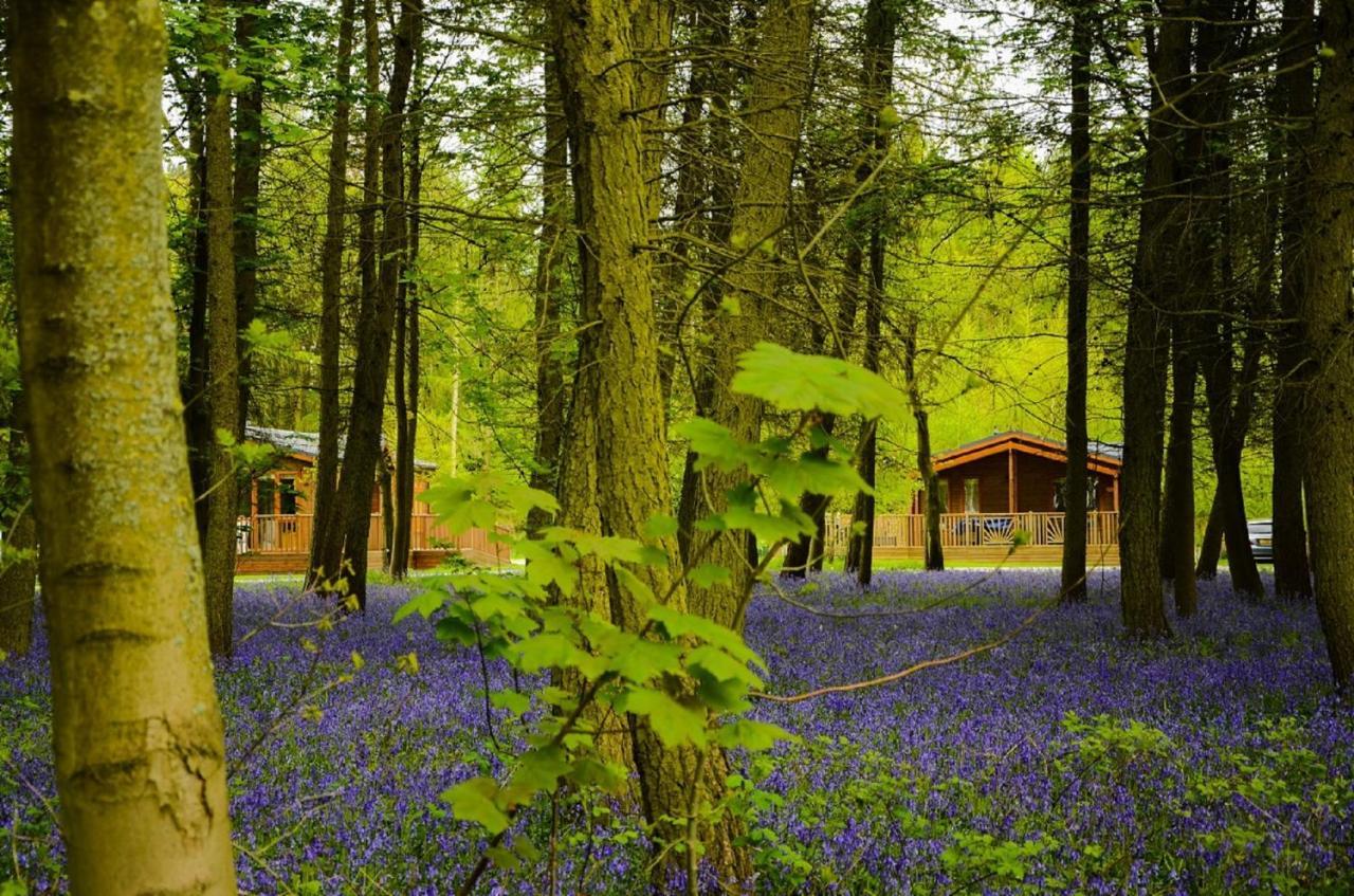 Hollicarrs - Stag Lodge York Exterior foto
