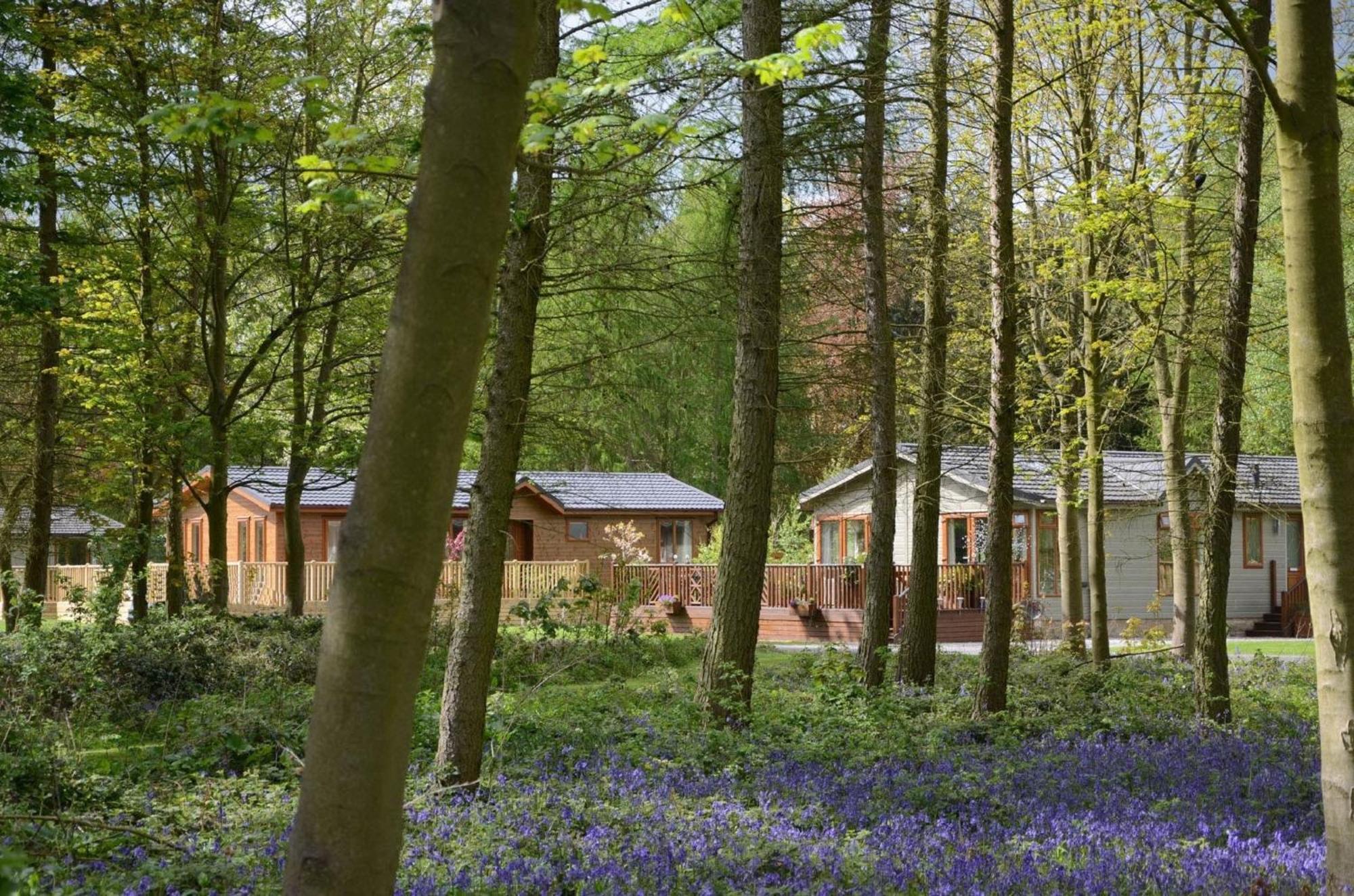 Hollicarrs - Stag Lodge York Exterior foto